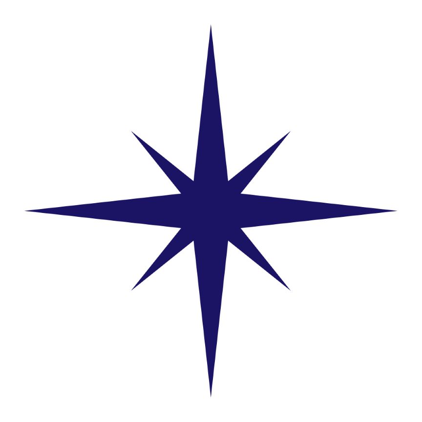 Galactic Wisdom Studies branch icon and description for Twillow Lifestyle Academy featuring cosmic consciousness, light language, multidimensional awareness, and galactic wisdom.