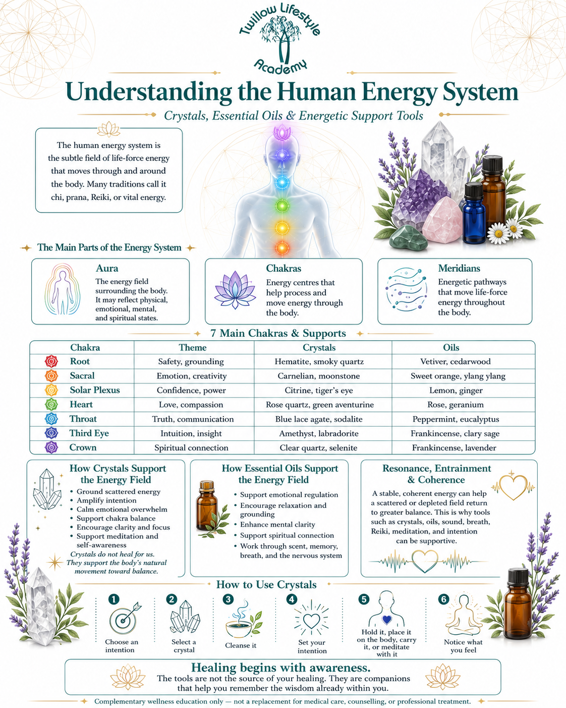 Understanding the Human Energy System infographic for Twillow Lifestyle Academy featuring chakras, aura, meridians, crystals, essential oils, and energetic support tools.